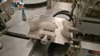 Sarong SAAS model blister forming and sealing machine for suppositories.