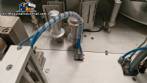 Sarong SAAS model blister forming and sealing machine for suppositories.
