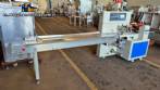 DXDZ-250X Inverted Flow Pack Packaging Machine