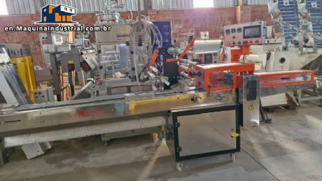 Stainless steel flowpack packaging machine WEF M�quinas Maqinox