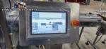 Bausch stainless steel depyrogenation and sterilization tunnel for glass ampoules