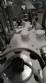 Rotary filling machine in stainless steel for liquids IMA F540 24,000 bottles per hour
