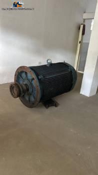 Electric squirrel cage induction motor 450 cv WEG