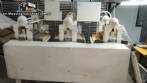 Automatic continuous line for the production and dehydration of fresh homemade pasta.