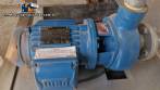 Incalfer double stage continuous stainless steel vegetable washer