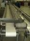 Conveyor belt