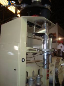 Leitzke volumetric vertical packaging machine