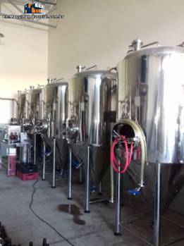 Factory line for the production of 15,000-liter draft beers with a three-block kitchen