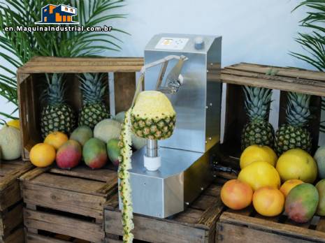 Automatic peeler for pineapple, mango and melon, 250 units per minute Astra