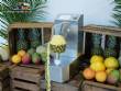 Automatic peeler for pineapple, mango and melon, 250 units per minute Astra