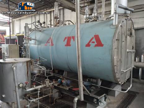 Boiler for steam generation Ata