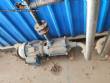 Gas-fired steam boiler with horizontal fire-tube burner Collins