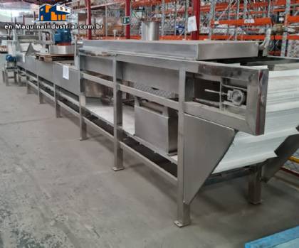 Continuous tunnel immersion pasteurizer for bottles and packaging - TECNINT