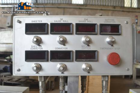Pilot plant for RTech biscuit processes