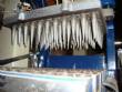 Manufacturer of ice cream cones for 60-cavity cone-shaped desserts.